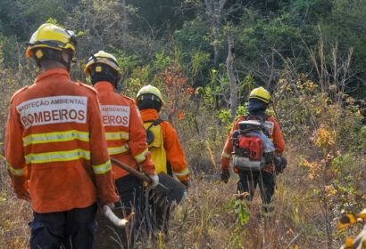 Nesta época do ano, a média diária de ocorrências de incêndios florestais chega a 100 chamados Foto: (Joel Rodrigues/Agência Brasília)