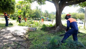 A interrupção do fornecimento de energia é necessária para garantir a segurança dos profissionais envolvidos nos serviços e da população local Foto: (Lúcio Bernardo Jr/Agência Brasília)
