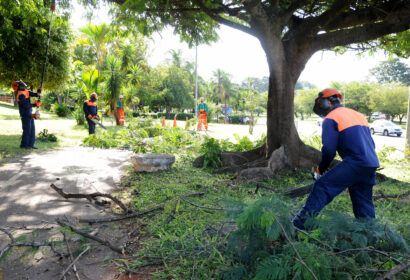 A interrupção do fornecimento de energia é necessária para garantir a segurança dos profissionais envolvidos nos serviços e da população local Foto: (Lúcio Bernardo Jr/Agência Brasília)