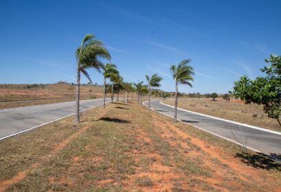 As taxas baixaram de 0,4% a.m. para 0,2% a.m. para compra de imóveis residenciais unifamiliares em licitação. Já para os imóveis comerciais, industriais e institucionais, a taxa caiu de 0,5% a.m. para 0,25% a.m. | Foto: (Daniel Santos/ Divulgação Terracap)