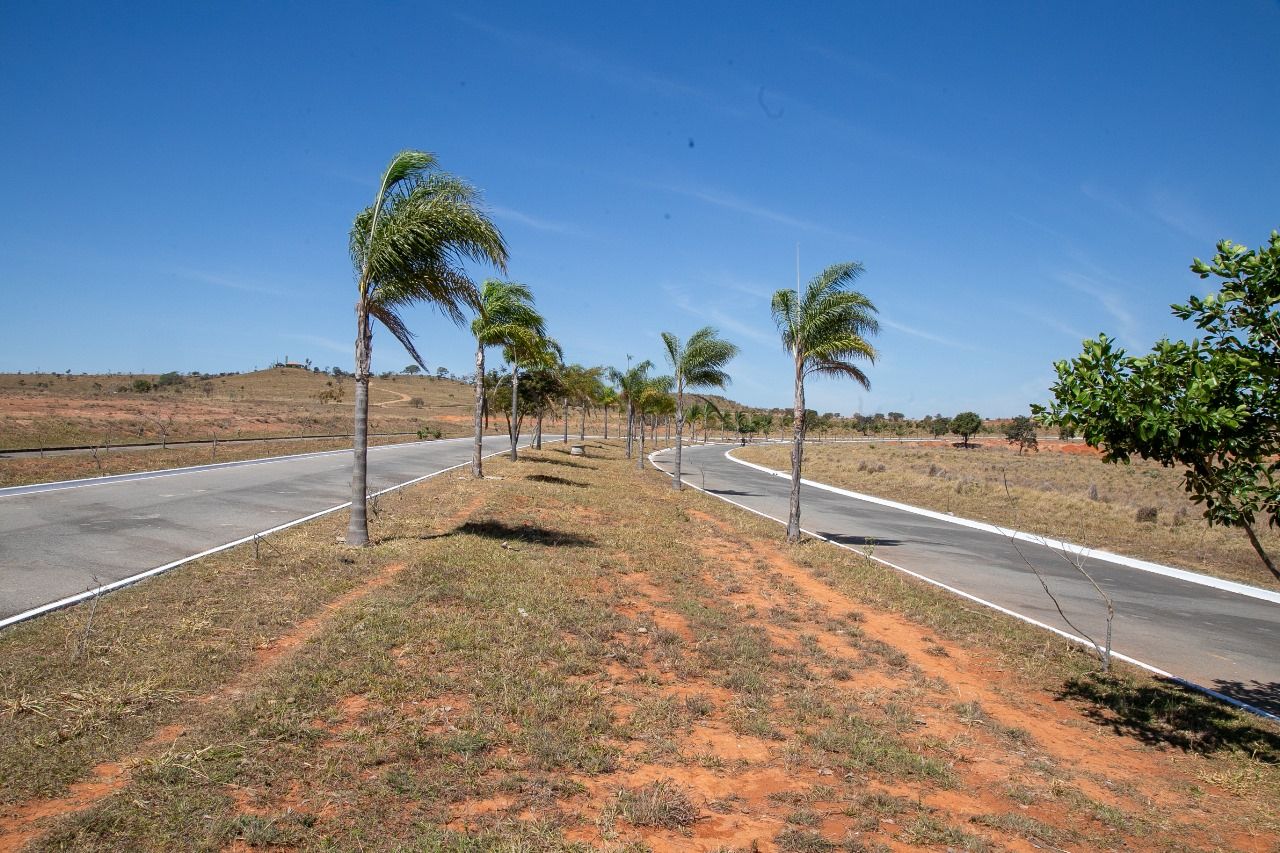As taxas baixaram de 0,4% a.m. para 0,2% a.m. para compra de imóveis residenciais unifamiliares em licitação. Já para os imóveis comerciais, industriais e institucionais, a taxa caiu de 0,5% a.m. para 0,25% a.m. | Foto: (Daniel Santos/ Divulgação Terracap) Vendas de lotes no Residencial dos Jacarandás oferecem a melhor taxa de juros do mercado