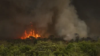 Apenas em setembro foram 10,65 milhões de hectares – quase metade de toda a área atingida nos oito meses anteriores Foto: (Marcelo Camargo/Agência Brasil)