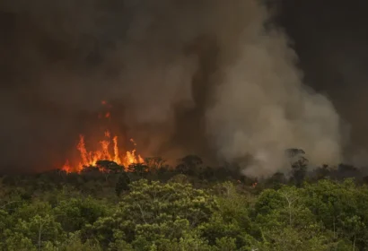 Apenas em setembro foram 10,65 milhões de hectares – quase metade de toda a área atingida nos oito meses anteriores Foto: (Marcelo Camargo/Agência Brasil)