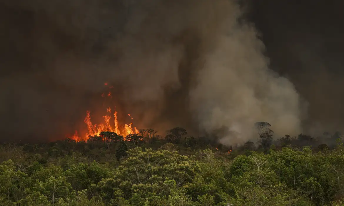Apenas em setembro foram 10,65 milhões de hectares – quase metade de toda a área atingida nos oito meses anteriores Foto: (Marcelo Camargo/Agência Brasil)
Brasil tem 22,38 milhões de hectares atingidos pelo fogo em nove meses