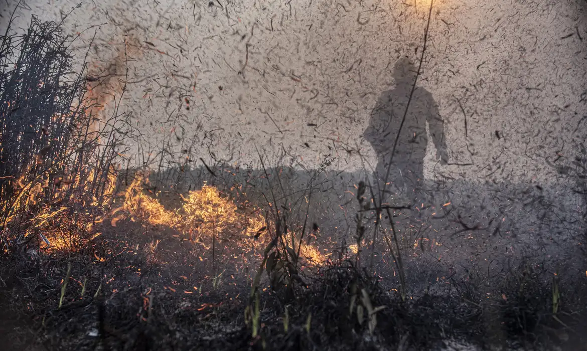 O número representa aumento de 76% na comparação com o mesmo período de 2023. Foto: (Mayangdi Inzaulgarat/Ibama) Focos de incêndios no Brasil já são 76% maiores que em 2023