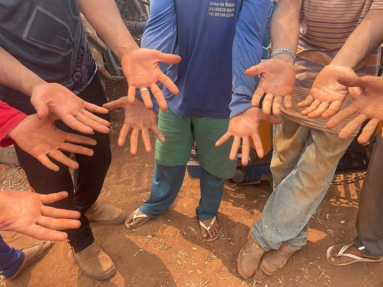 Foto: (Divulgação/Agência Gov) Operação resgatou 130 trabalhadores em situações análogas à escravidão em Jeriquara, região de Franca (SP)