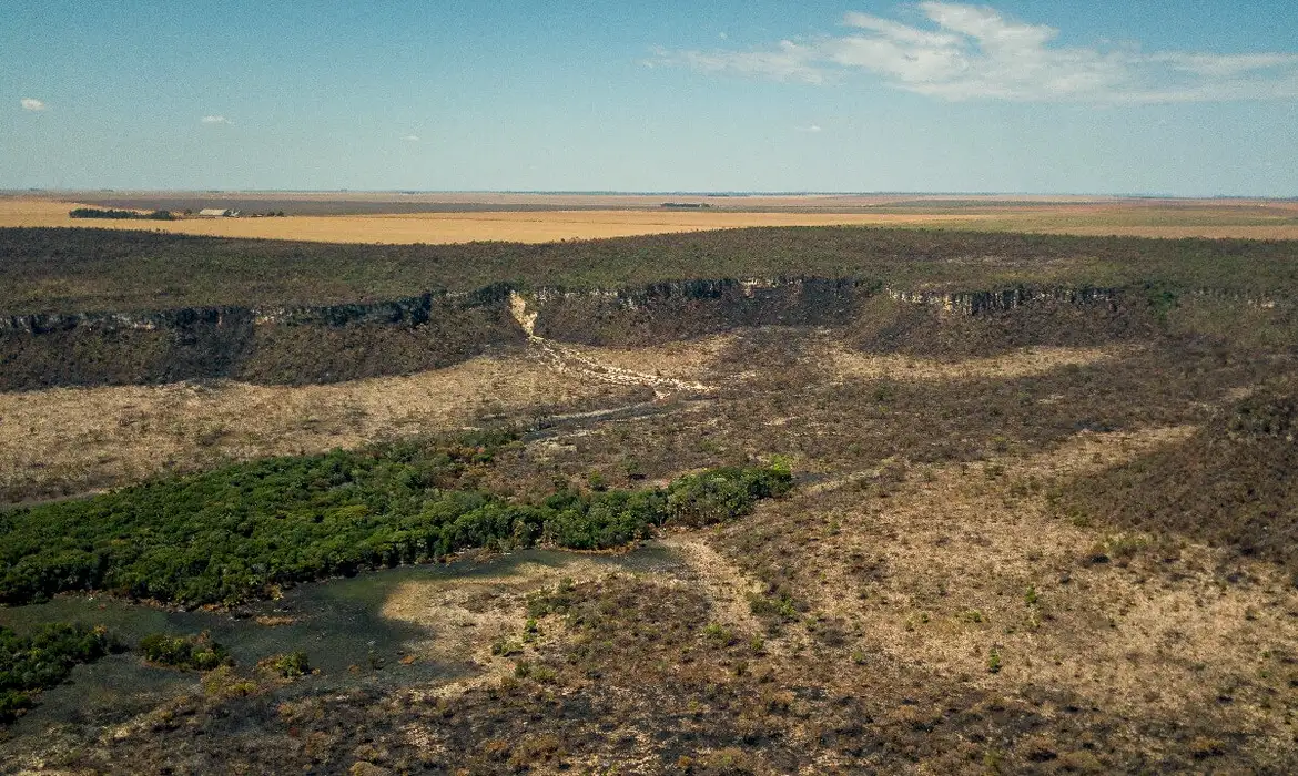 Foto: (Thomas Bauer/Instituto Sociedade População e Natureza)
Após cinco anos de aumento, desmatamento no Cerrado tem queda