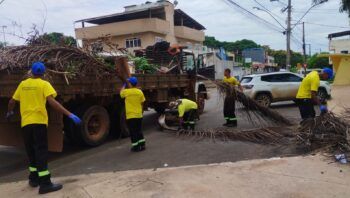 A ação contou com 35 trabalhadores, dois caminhões e dois tratores Foto: (Divulgação/Administração do Plano Piloto)