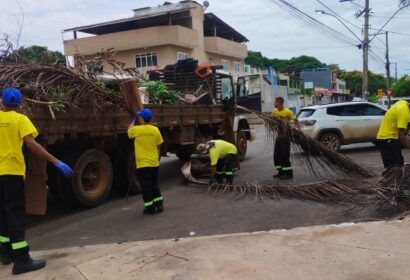 A ação contou com 35 trabalhadores, dois caminhões e dois tratores Foto: (Divulgação/Administração do Plano Piloto)