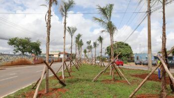 O GDF investe mais de R$354 mil para o paisagismo na região Fotos: (Paulo H. Carvalho/Agência Brasília)