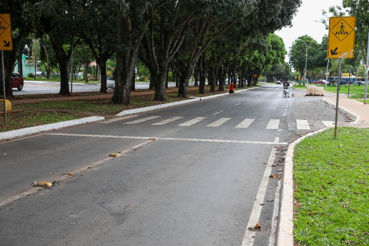 Sinalização na Avenida das Mangueiras foi concluída após a recuperação asfáltica e reforça segurança no trânsito Foto: (Matheus H. Souza/Agência Brasília)
Reformada, Avenida das Mangueiras, no Cruzeiro, ganha faixas de pedestre