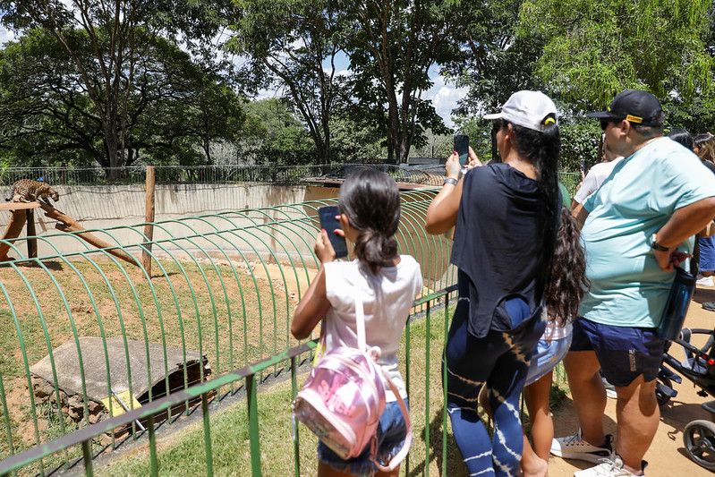 Com o programa Lazer para Todos, o número de visitantes aos domingos subiu de 4 mil para mais de 12 mil no Zoológico de Brasília | Fotos: Geovana Albuquerque/Agência Brasília
Segundo domingo do programa Lazer para Todos atrai 15.950 visitantes ao Zoológico e ao Jardim Botânico