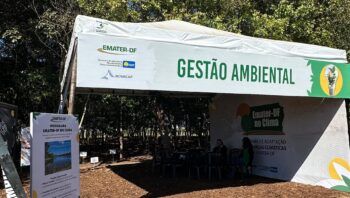 gdf-apresenta-programa-de-inse