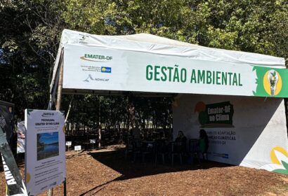 gdf-apresenta-programa-de-inse