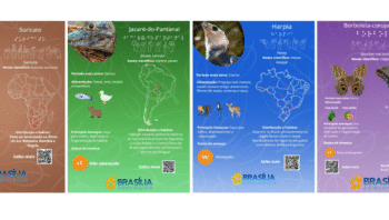 zoologico-de-brasilia-recebe-n