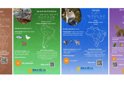 zoologico-de-brasilia-recebe-n