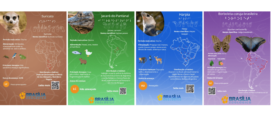 Cada placa nova apresenta linguagem simples, com cores e disposição visual para facilitar a identificação do animal | Foto: Divulgação/Zoológico de Brasília
Zoológico de Brasília recebe novas placas de identificação de recinto