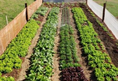 ceilandia-recebe-circuito-eco-