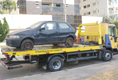 operacao-df-livre-de-carcacas-