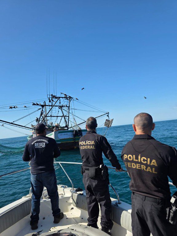 Foto: (Divulgação/Polícia Federal)
PF e ICMbio deflagram operação proteger corredor migratório de baleias