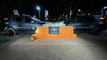 pmdf-apreende-mais-de-meia-ton