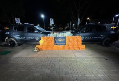 pmdf-apreende-mais-de-meia-ton
