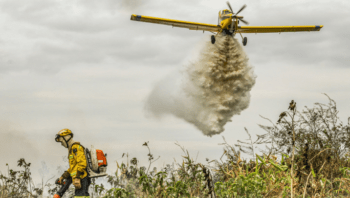 combate-a-incendios-no-cerrado