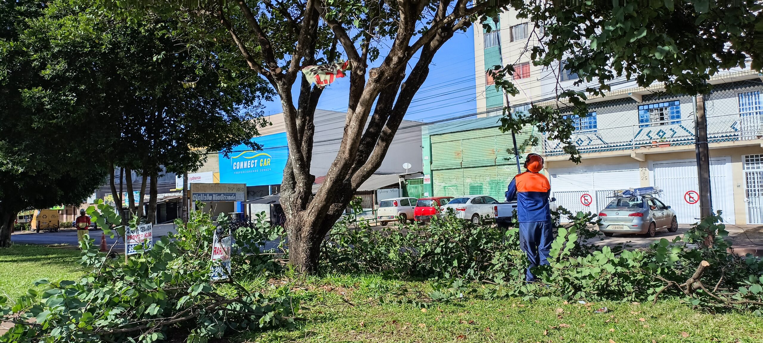 Podas de árvores são intensificadas para garantir segurança e urbanização no DF