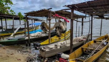 gestao-do-seguro-defeso-passar