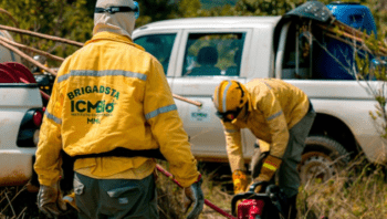 icmbio-intensifica-monitoramen