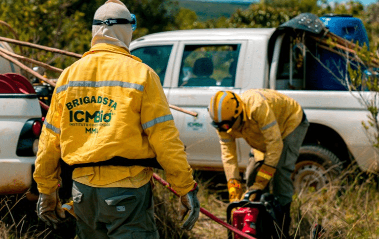 Foto: (Divulgação/Agência Gov) ICMBio intensifica monitoramento e articulação para prevenir incêndios florestais no Distrito Federal