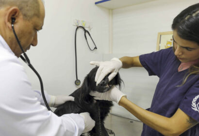 varjao-recebe-hospital-veterin