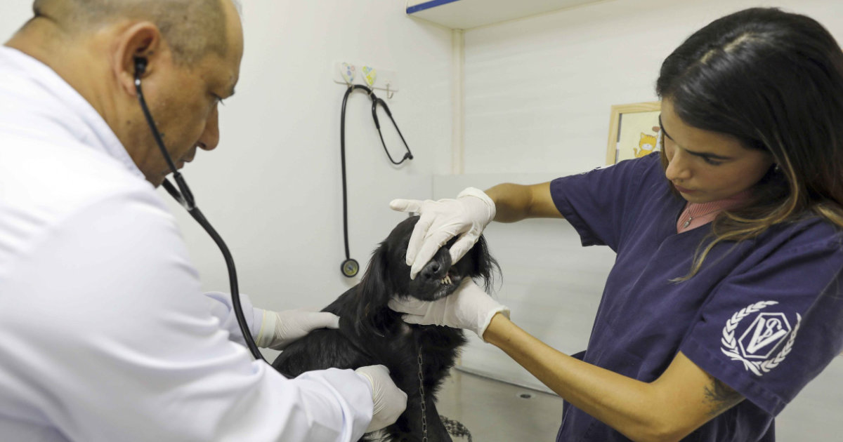 varjao-recebe-hospital-veterin