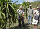 assistencia-tecnica-rural-grat