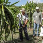 assistencia-tecnica-rural-grat