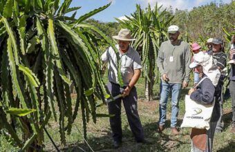 assistencia-tecnica-rural-grat