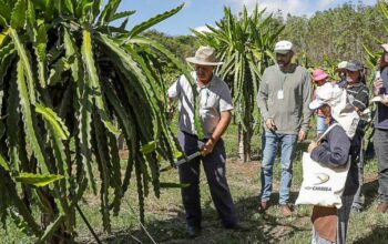 assistencia-tecnica-rural-grat