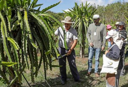 assistencia-tecnica-rural-grat