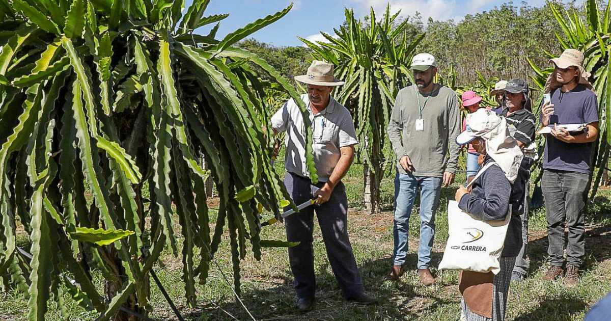 assistencia-tecnica-rural-grat