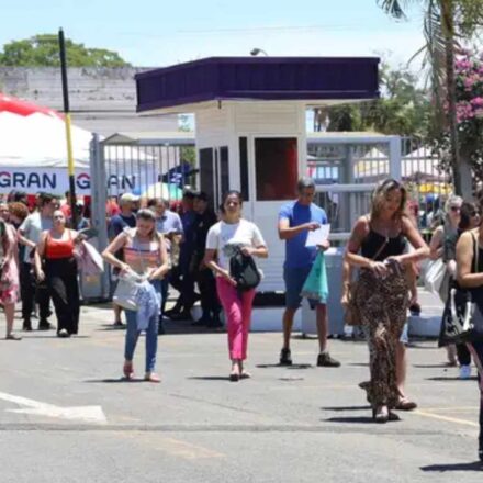 concursos-publicos-seguem-prev