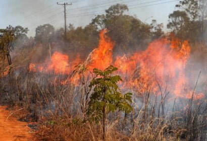 Incêndio florestal perto de casa: veja como agir em situação de risco