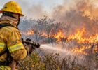Governo investiga possível ação organizada em incêndios no Amazonas