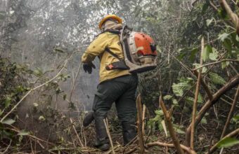 Incêndios no Amazonas são provocados por ação humana, diz ministro