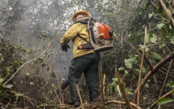 Incêndios no Amazonas são provocados por ação humana, diz ministro