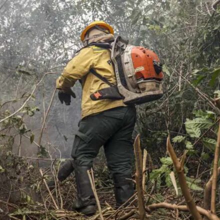 Incêndios no Amazonas são provocados por ação humana, diz ministro
