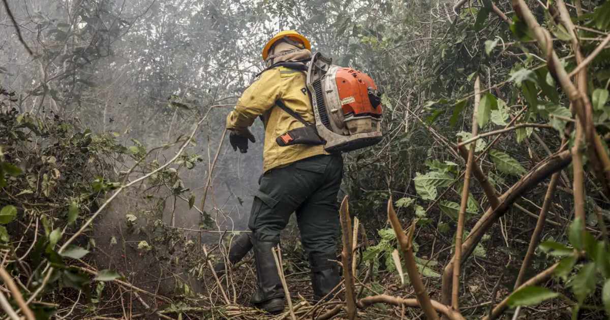 Incêndios no Amazonas são provocados por ação humana, diz ministro